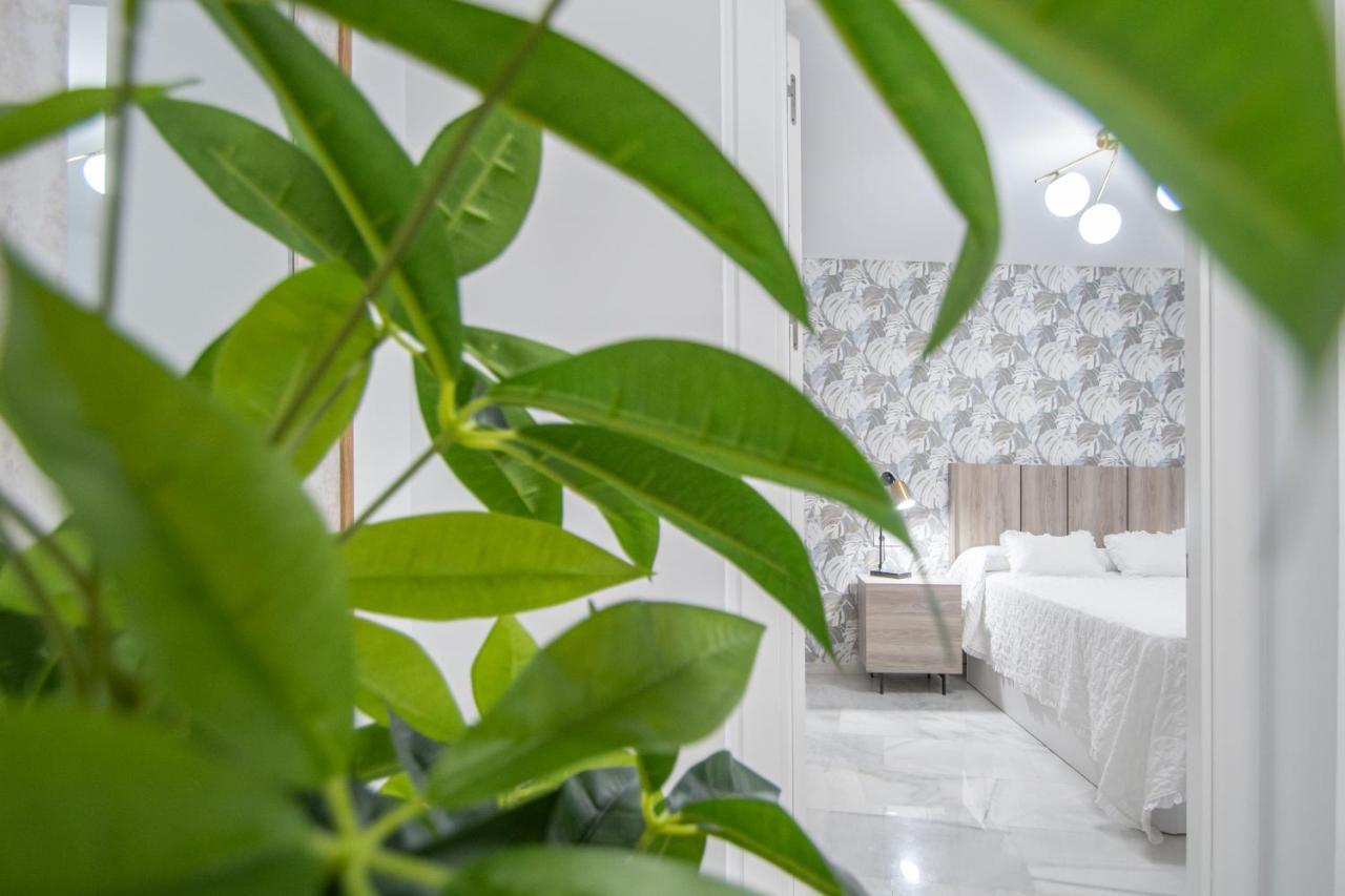 Apartamento La Magnolia De كاديز المظهر الخارجي الصورة